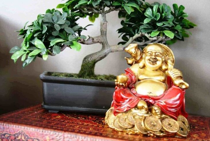 Õnn ja jõukus kodus Feng Shui järgi